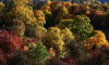 Bunter Herbst